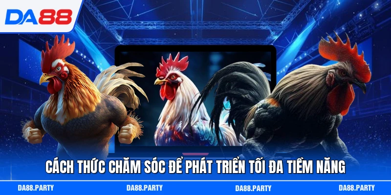 Cách thức chăm sóc để phát triển tối đa tiềm năng