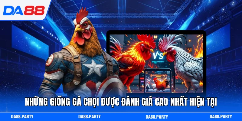 Những giống gà chọi được đánh giá cao nhất hiện tại