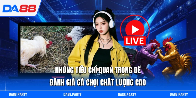 Những tiêu chí quan trọng để đánh giá gà chọi chất lượng cao