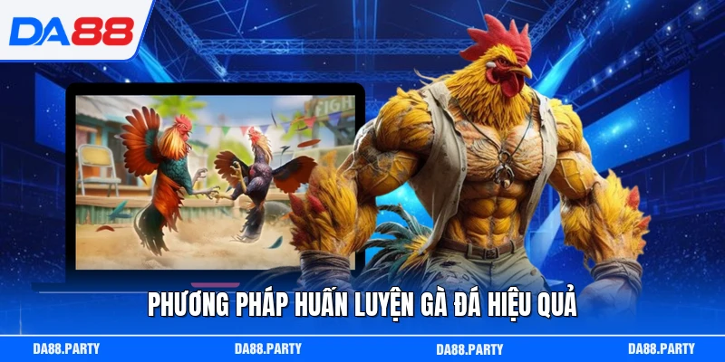 Phương pháp huấn luyện gà đá hiệu quả